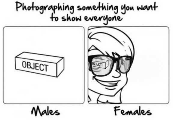 Posted media